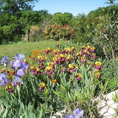 B&B La Cigaline Villedieu  Zewnętrze zdjęcie
